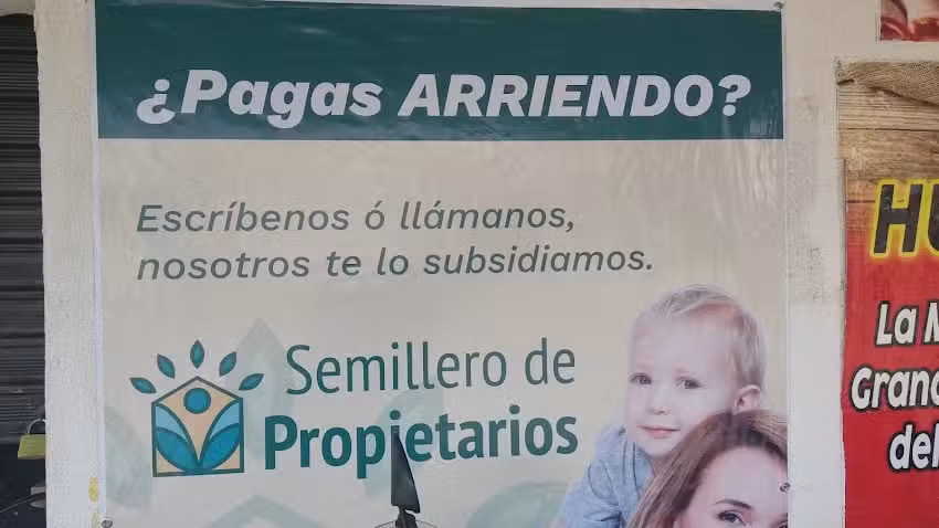 Oficina &ndash; Semilleros