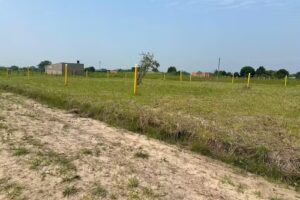 PALMAR DE LA PEDRERA YOPAL