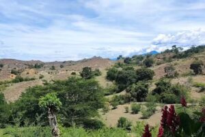 Parcelaci&oacute;n Los Ciruelos