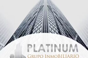 PLATINUM Grupo Inmobiliario