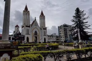 Propiedad Ra&iacute;z &Aacute;lvarez Molina