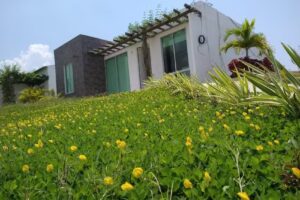 Proyecto Vista Cartagena