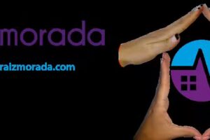 raiz morada inmobiliaria