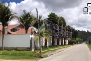 REAL ESTATE COLOMBIA