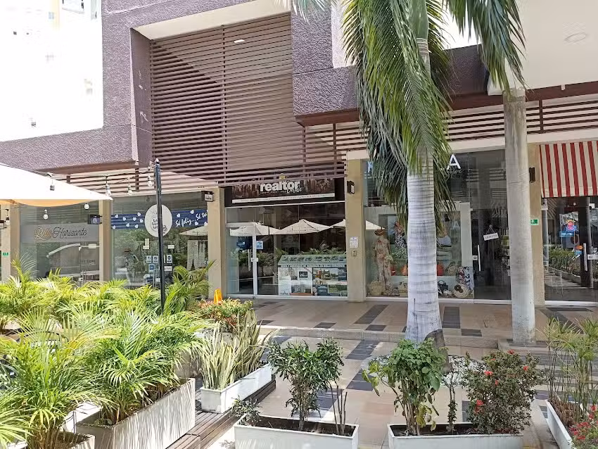 Realtor Caribe