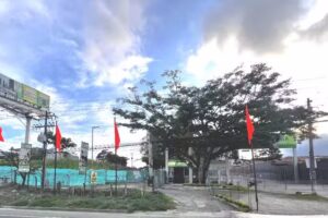 Sala de ventas Flor Alba &ndash; Losdriguel Construcciones