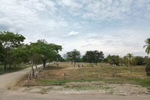 Sala de ventas Urbanizacion el poblado