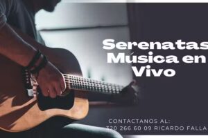 servicios y logistica del llano