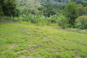 Soluciones Efectivas CPM Inmobiliaria