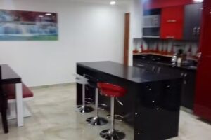 Su Futuro Raiz S.A.S