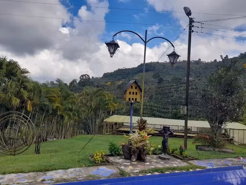 SU NEGOCIO