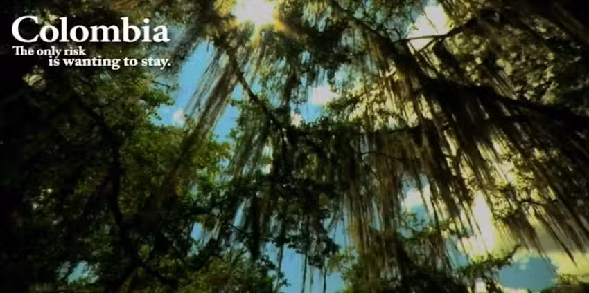 The Houzzz Dream Accommodations