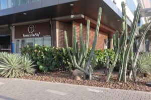 Towers reAlty &reg;️