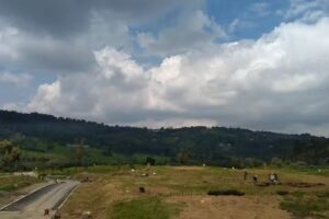 Village Lotes | Arquitectura y Concreto