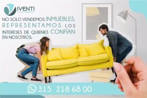 Viventi Activos y Proyectos