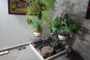 Viviendas Saldarriaga VisSA Propiedad Raiz.