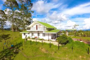 Zona Oriente Propiedad Ra&iacute;z